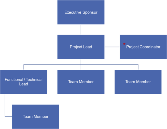 Organization chart with executive sponsor at the top level, Project Lead and project coordinator at the second level, functional slash technical lead, team members on the third level, and Team member on the fourth level under the Functional slash technical lead