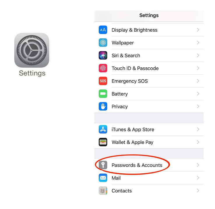 Icon of the Settings app in iOS next to a screenshot of the Settings app with a circle around the "Passwords &amp; Accounts" option 