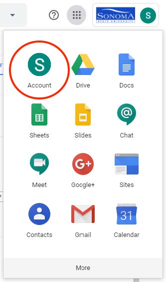 Screenshot of the Google apps pane with the Account icon circled 