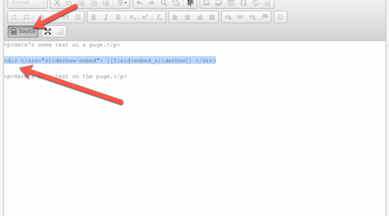 Body field, Source view, and snippet pasted where the slideshow should go.