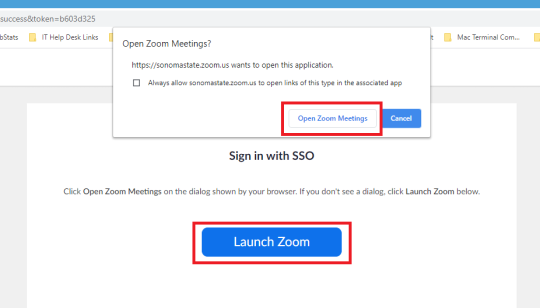 The Launch Zoom website with the pop-up allow dialog box. The Open Zoom Meetings button is highlighted.