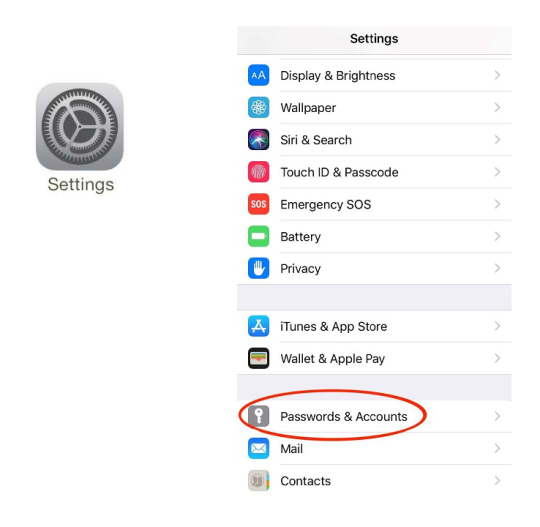 Icon of the Settings app in iOS next to a screenshot of the Settings app with a circle around the "Passwords & Accounts" option 