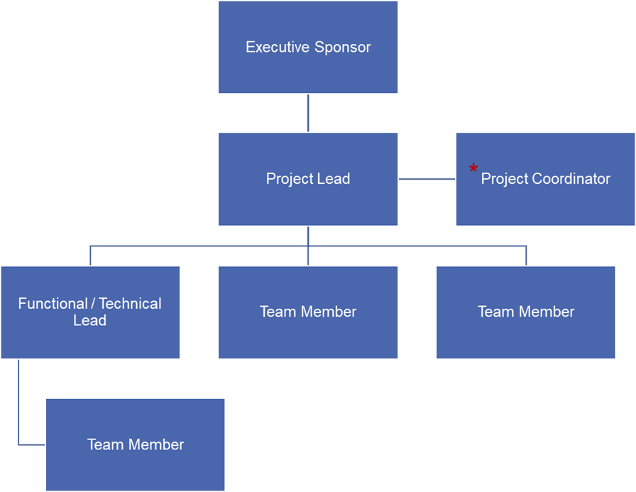 Team organization chart starting with Project Sponsor at the top, Project Lead, and other team members